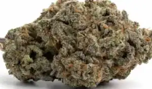 Apple fritter